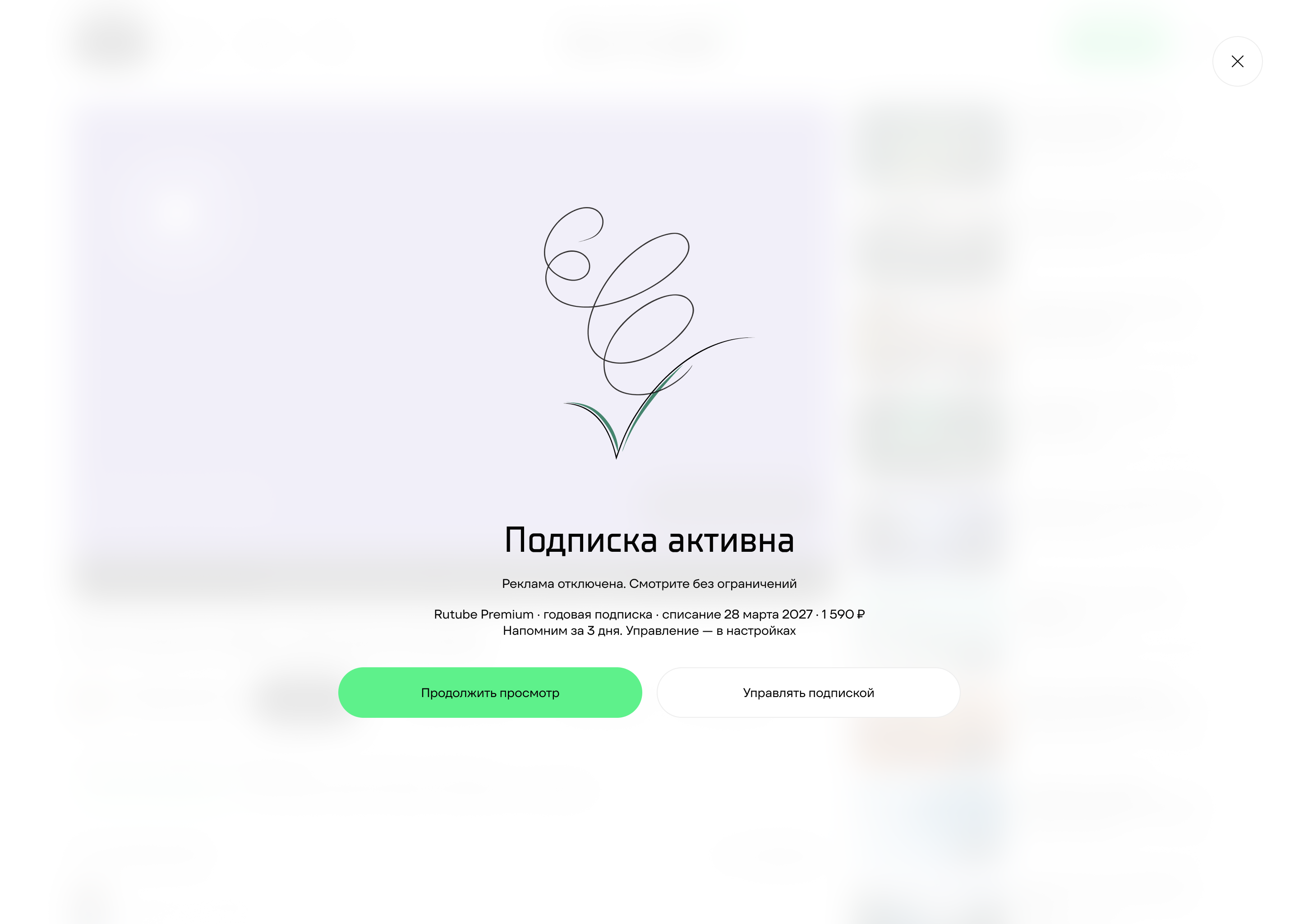 Успешная оплата